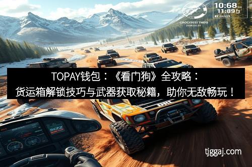 TOPAY钱包：《看门狗》全攻略：货运箱解锁技巧与武器获取秘籍，助你无敌畅玩！